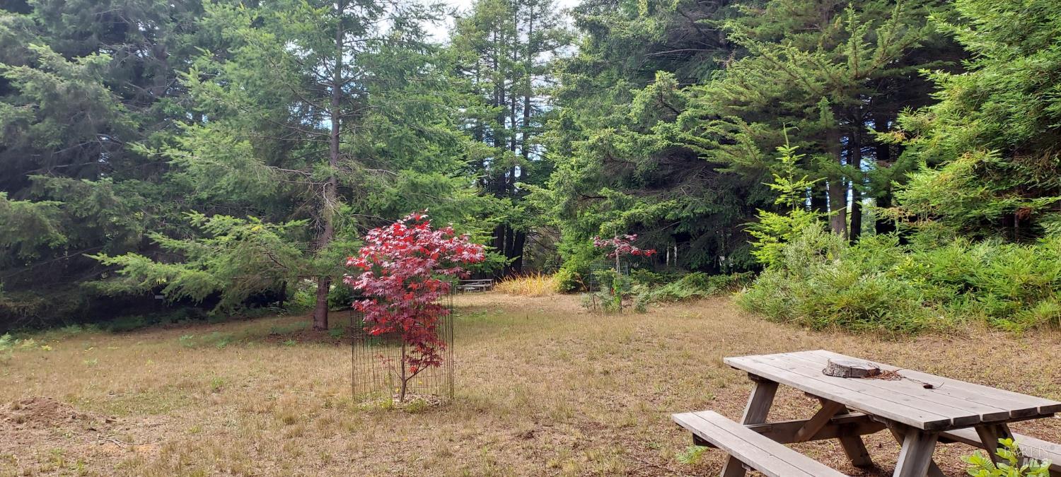 Detail Gallery Image 59 of 95 For 41214 Deer Trl 34b,  The Sea Ranch,  CA 95497 - 3 Beds | 2/1 Baths