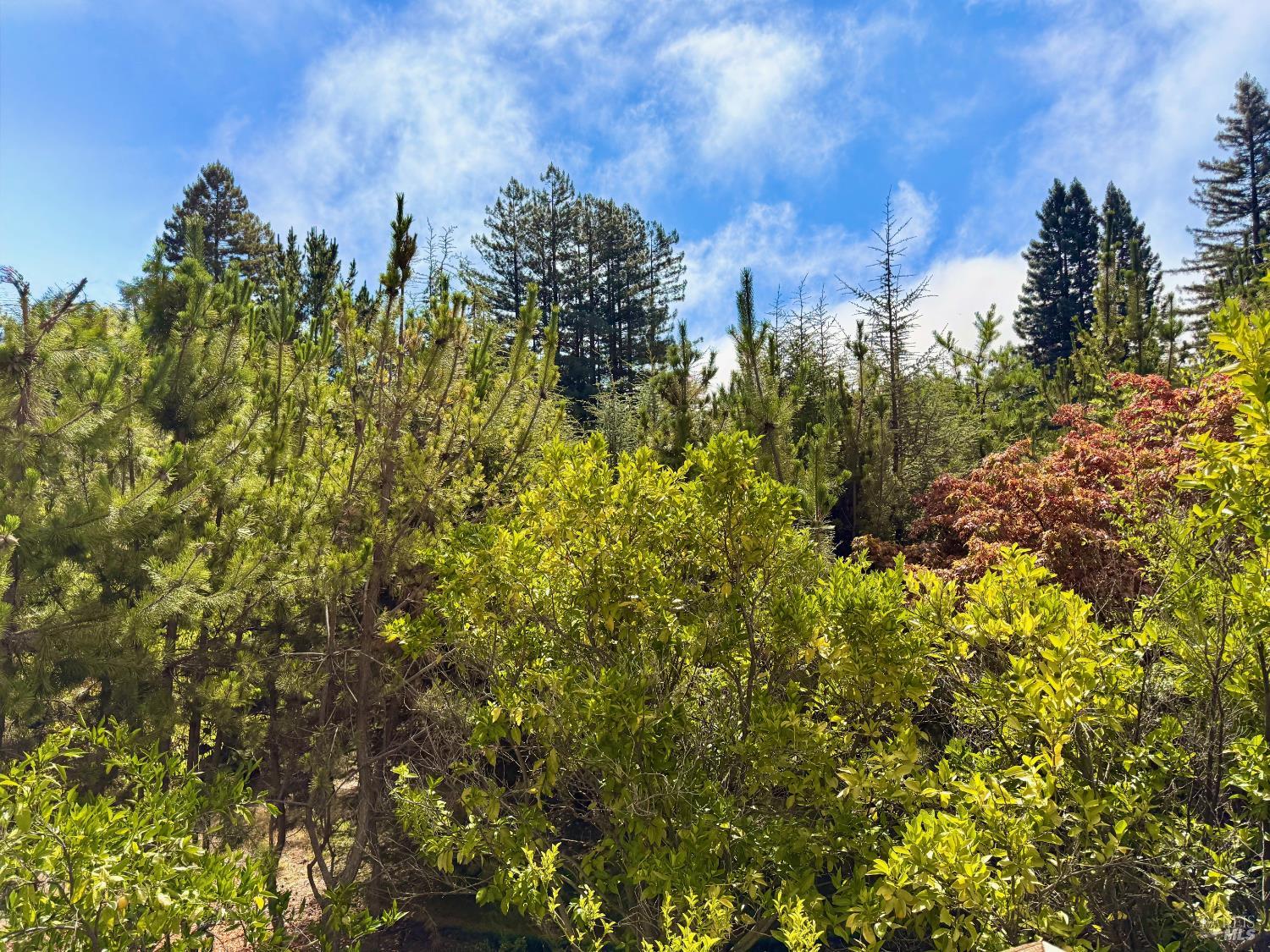 Detail Gallery Image 15 of 62 For 3700 Deer Meadow Ln, Occidental,  CA 95465 - 2 Beds | 2/1 Baths