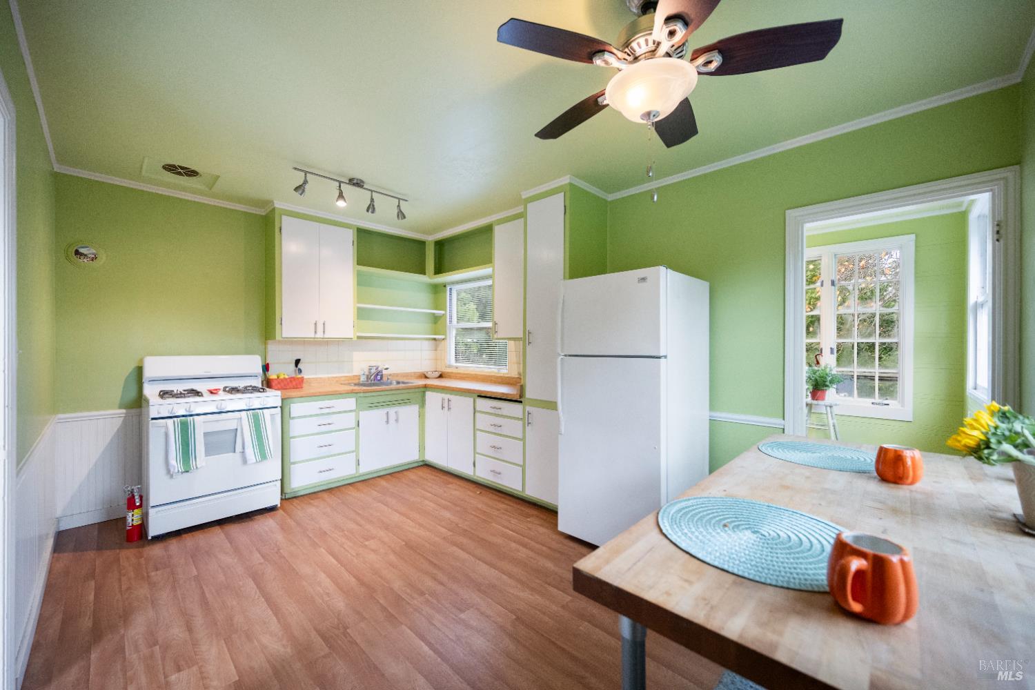 Detail Gallery Image 11 of 24 For 142 Bungalow Ave, San Rafael,  CA 94901 - – Beds | – Baths