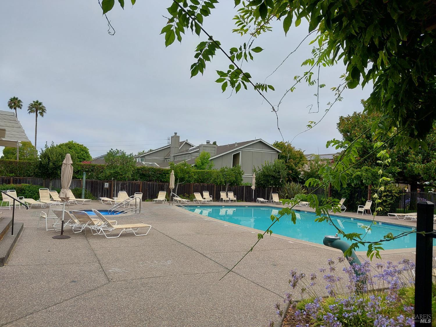 Detail Gallery Image 59 of 69 For 125 Spinnaker Point Dr, San Rafael,  CA 94901 - 2 Beds | 2 Baths
