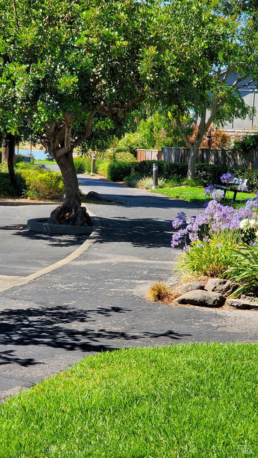 Detail Gallery Image 54 of 69 For 125 Spinnaker Point Dr, San Rafael,  CA 94901 - 2 Beds | 2 Baths