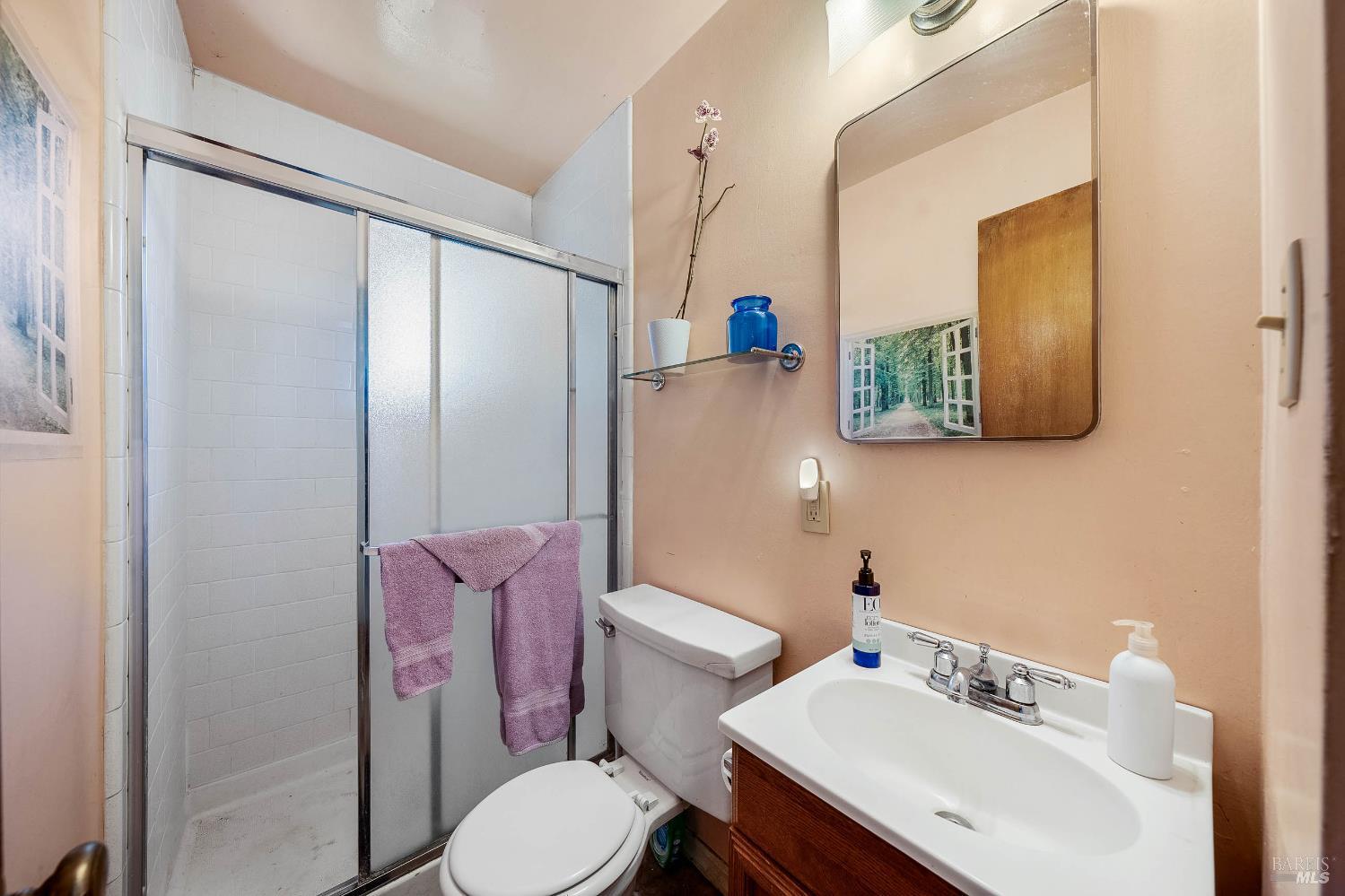 Detail Gallery Image 29 of 48 For 55 Burlington Dr, Petaluma,  CA 94952 - 3 Beds | 2 Baths
