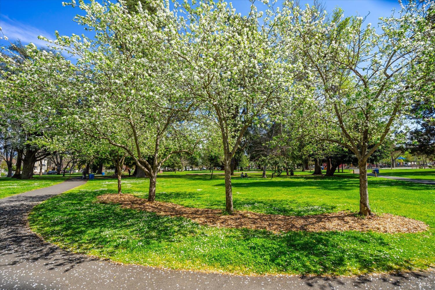 Detail Gallery Image 23 of 23 For 1777 Mckinley Rd, Napa,  CA 94558 - – Beds | – Baths