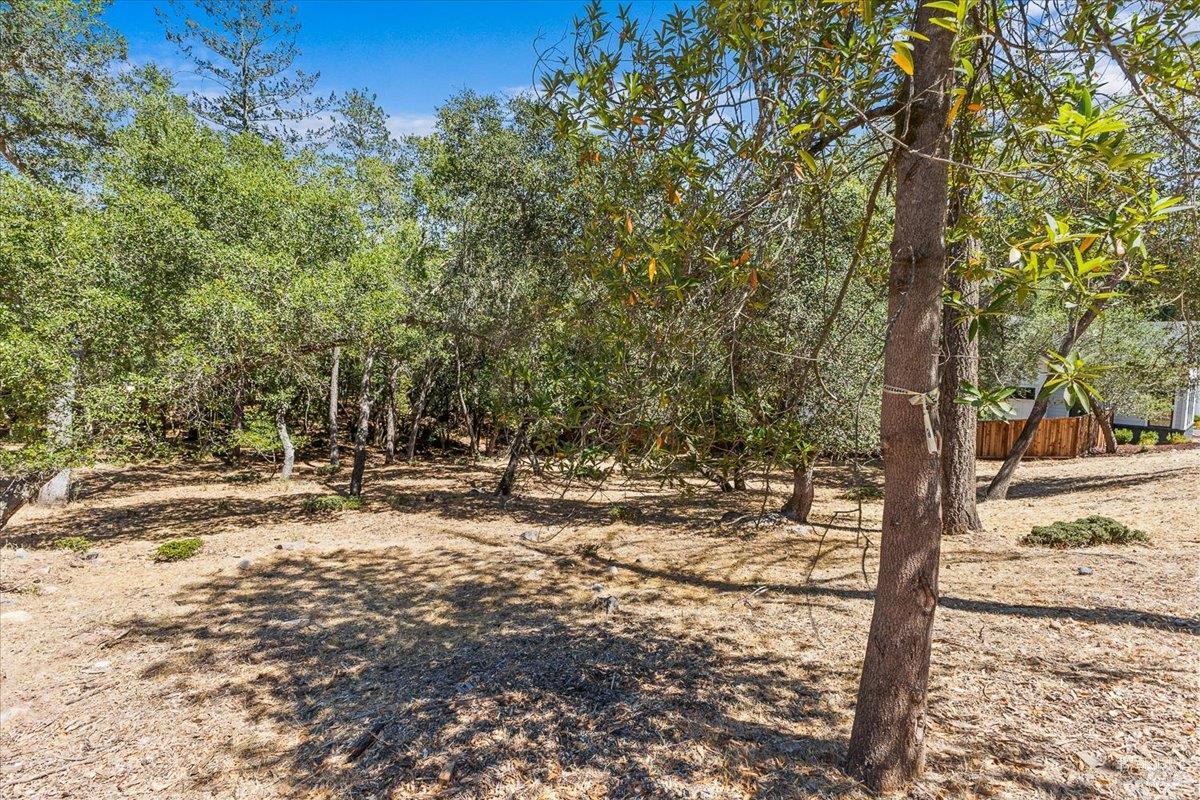 Detail Gallery Image 59 of 59 For 794 Los Olivos Rd, Santa Rosa,  CA 95404 - 4 Beds | 3/1 Baths