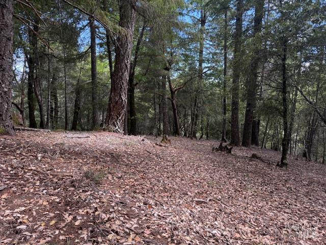 Detail Gallery Image 2 of 15 For 4297 Daisy Dr, Willits,  CA 95490 - – Beds | – Baths