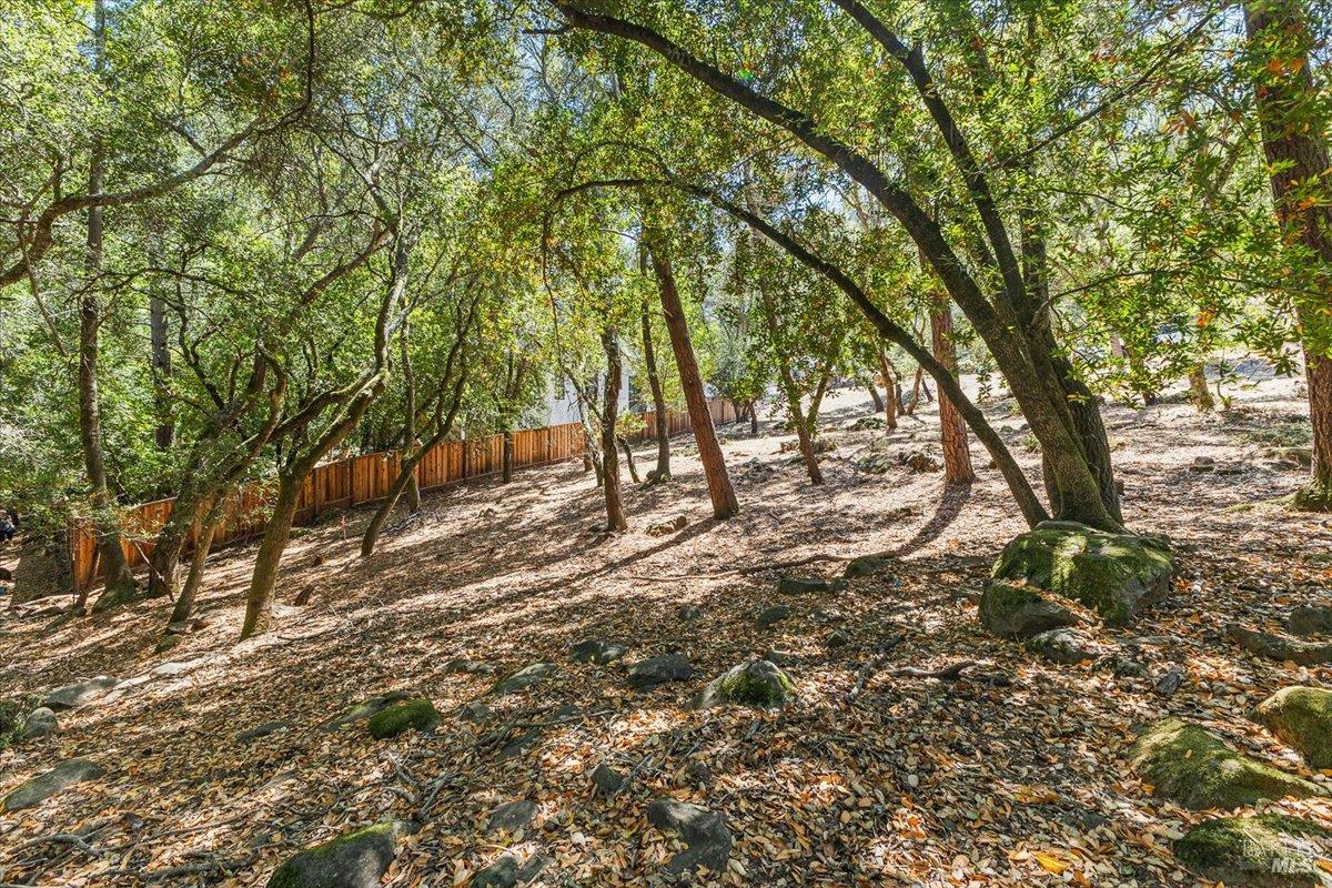 Detail Gallery Image 4 of 9 For 796 Los Olivos Rd, Santa Rosa,  CA 95404 - – Beds | – Baths
