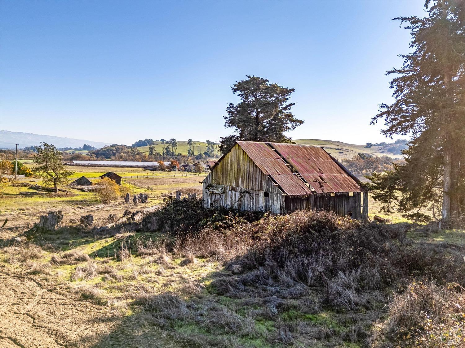 Detail Gallery Image 13 of 25 For 6000 Petersen Rd, Sebastopol,  CA 95472 - – Beds | – Baths