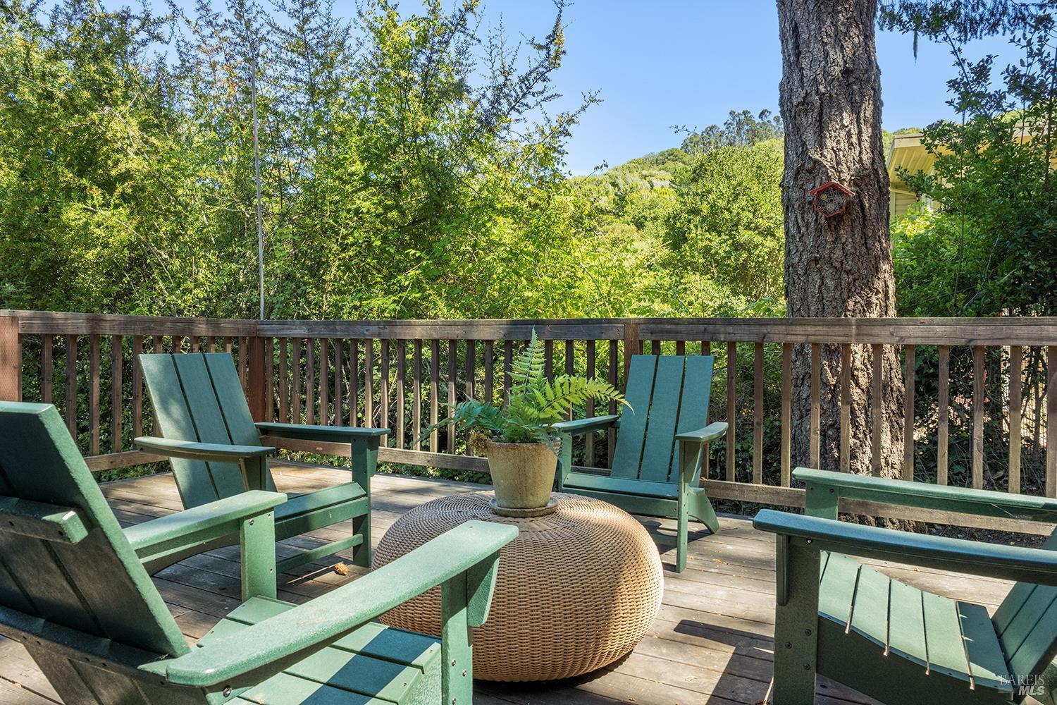 Detail Gallery Image 9 of 48 For 351 N Ferndale Ave, Mill Valley,  CA 94941 - – Beds | – Baths