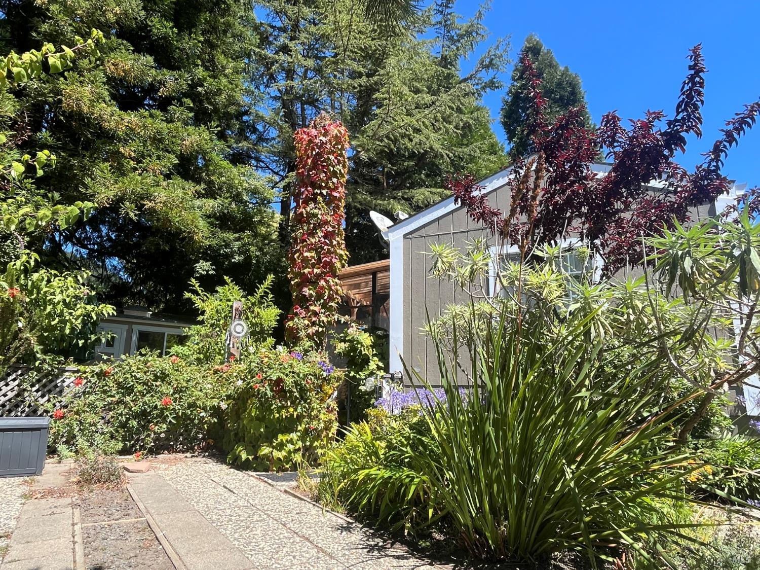 Detail Gallery Image 4 of 18 For 22900 Sylvan Way a, Monte Rio,  CA 95462 - 2 Beds | 1 Baths