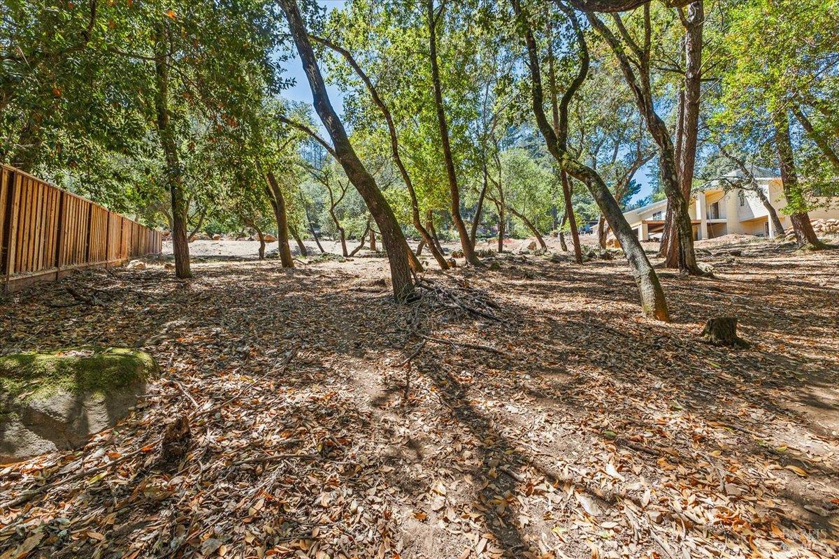 Detail Gallery Image 6 of 9 For 796 Los Olivos Rd, Santa Rosa,  CA 95404 - – Beds | – Baths