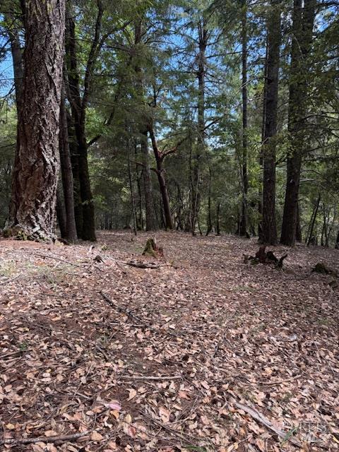 Detail Gallery Image 4 of 15 For 4297 Daisy Dr, Willits,  CA 95490 - – Beds | – Baths
