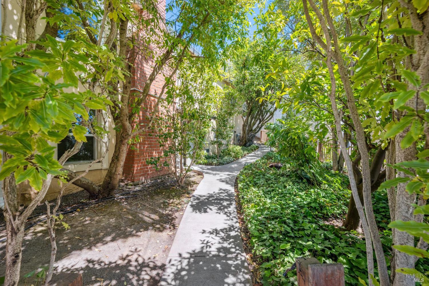 Detail Gallery Image 31 of 38 For 224 Elm Ave, Mill Valley,  CA 94941 - 2 Beds | 1 Baths