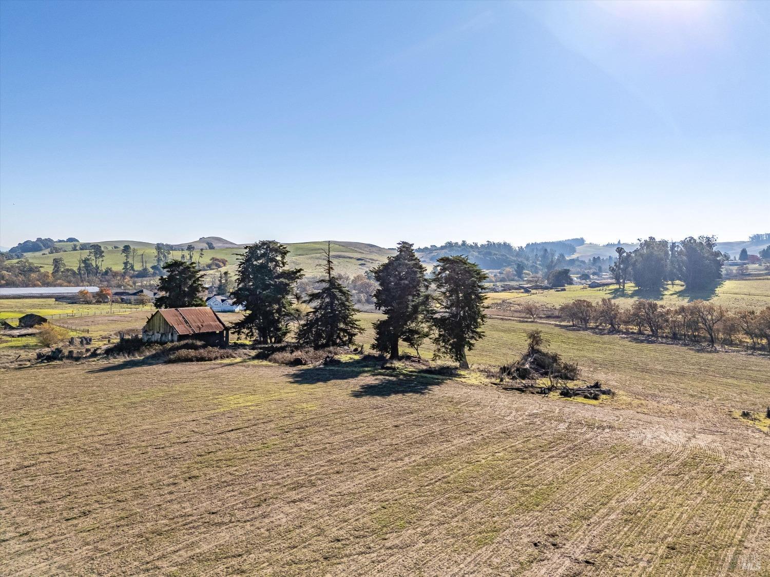 Detail Gallery Image 7 of 25 For 6000 Petersen Rd, Sebastopol,  CA 95472 - – Beds | – Baths