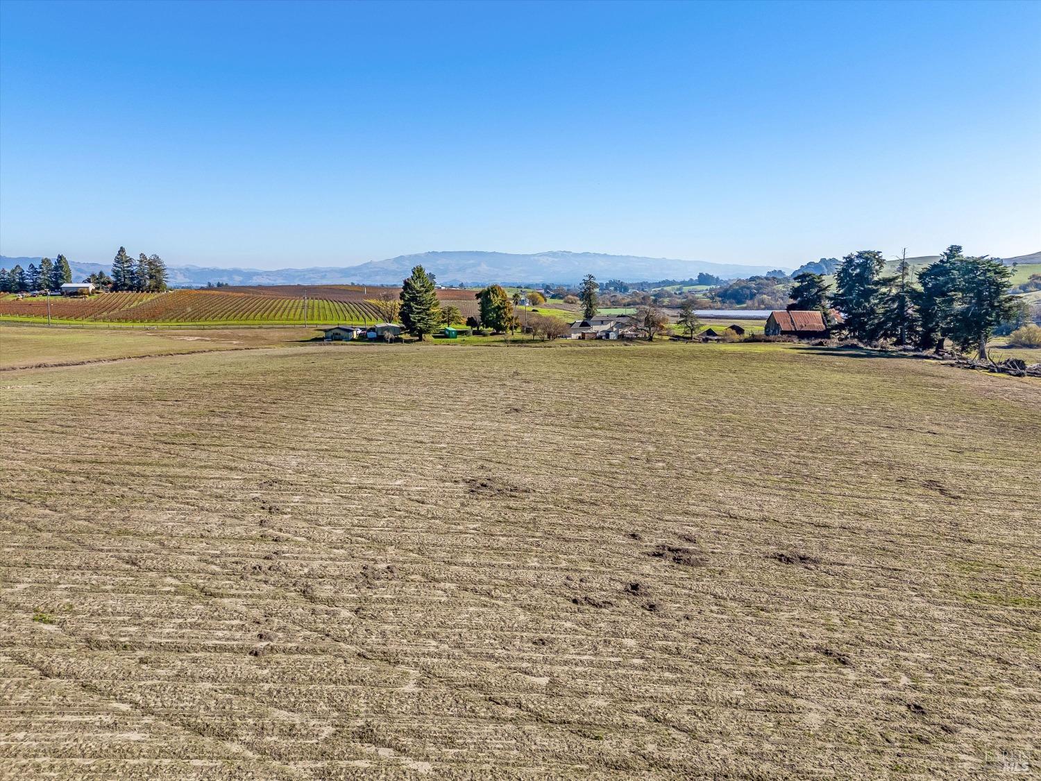 Detail Gallery Image 24 of 25 For 6000 Petersen Rd, Sebastopol,  CA 95472 - – Beds | – Baths