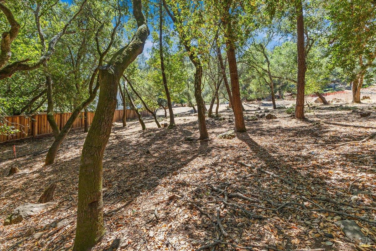 Detail Gallery Image 3 of 9 For 796 Los Olivos Rd, Santa Rosa,  CA 95404 - – Beds | – Baths