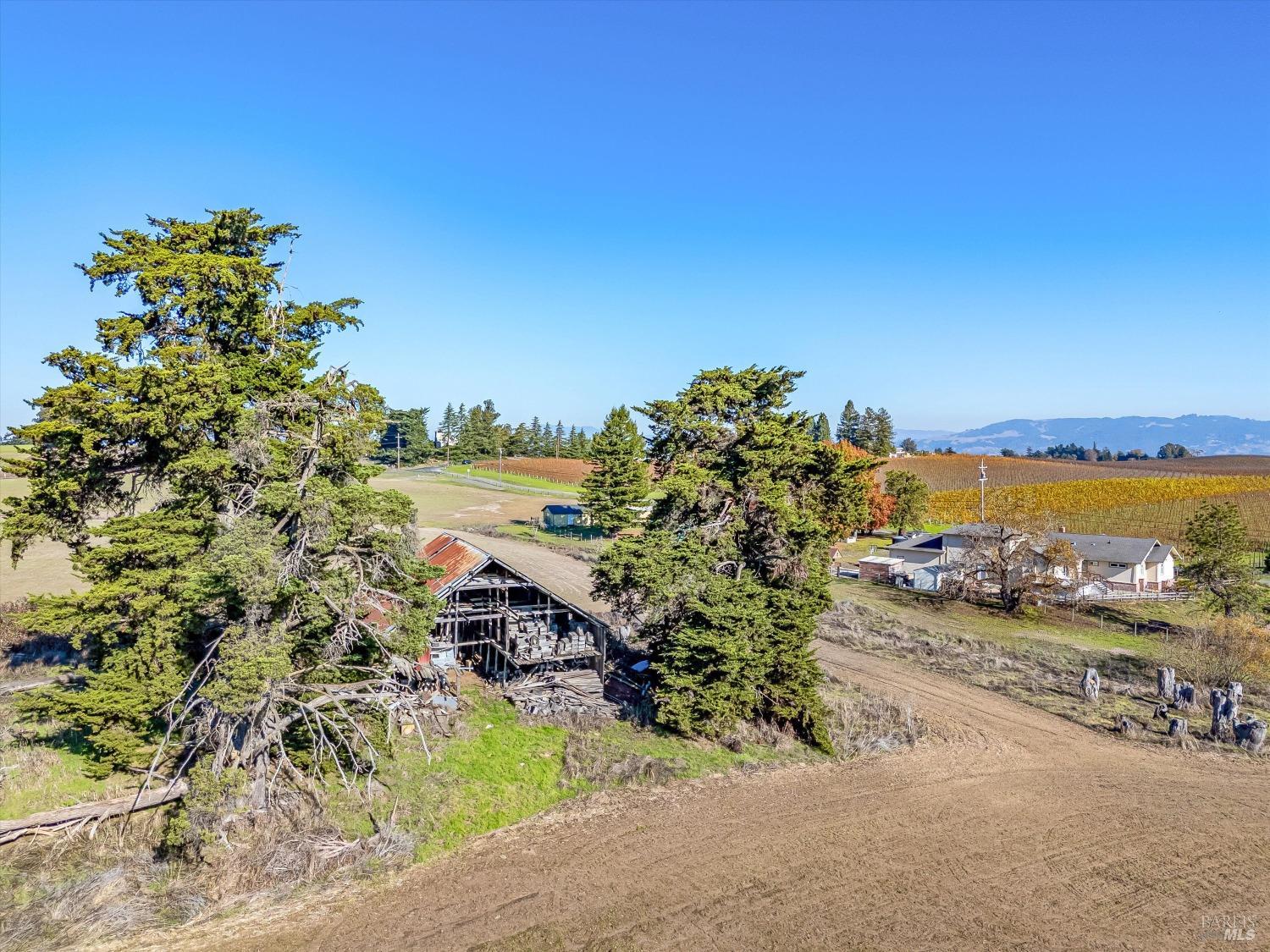 Detail Gallery Image 14 of 25 For 6000 Petersen Rd, Sebastopol,  CA 95472 - – Beds | – Baths