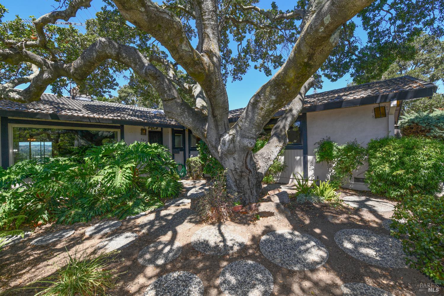 Detail Gallery Image 7 of 48 For 1521 King Ave, Napa,  CA 94559 - 3 Beds | 2 Baths
