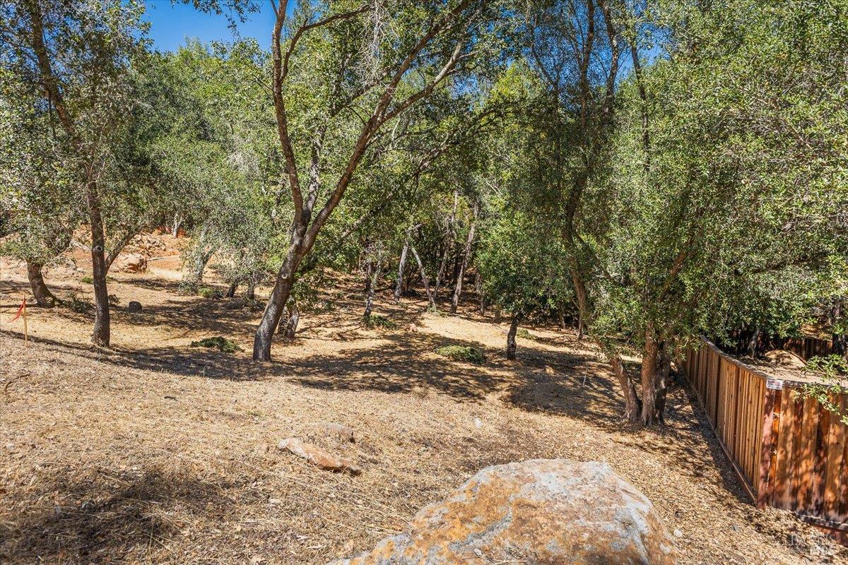 Detail Gallery Image 58 of 59 For 794 Los Olivos Rd, Santa Rosa,  CA 95404 - 4 Beds | 3/1 Baths