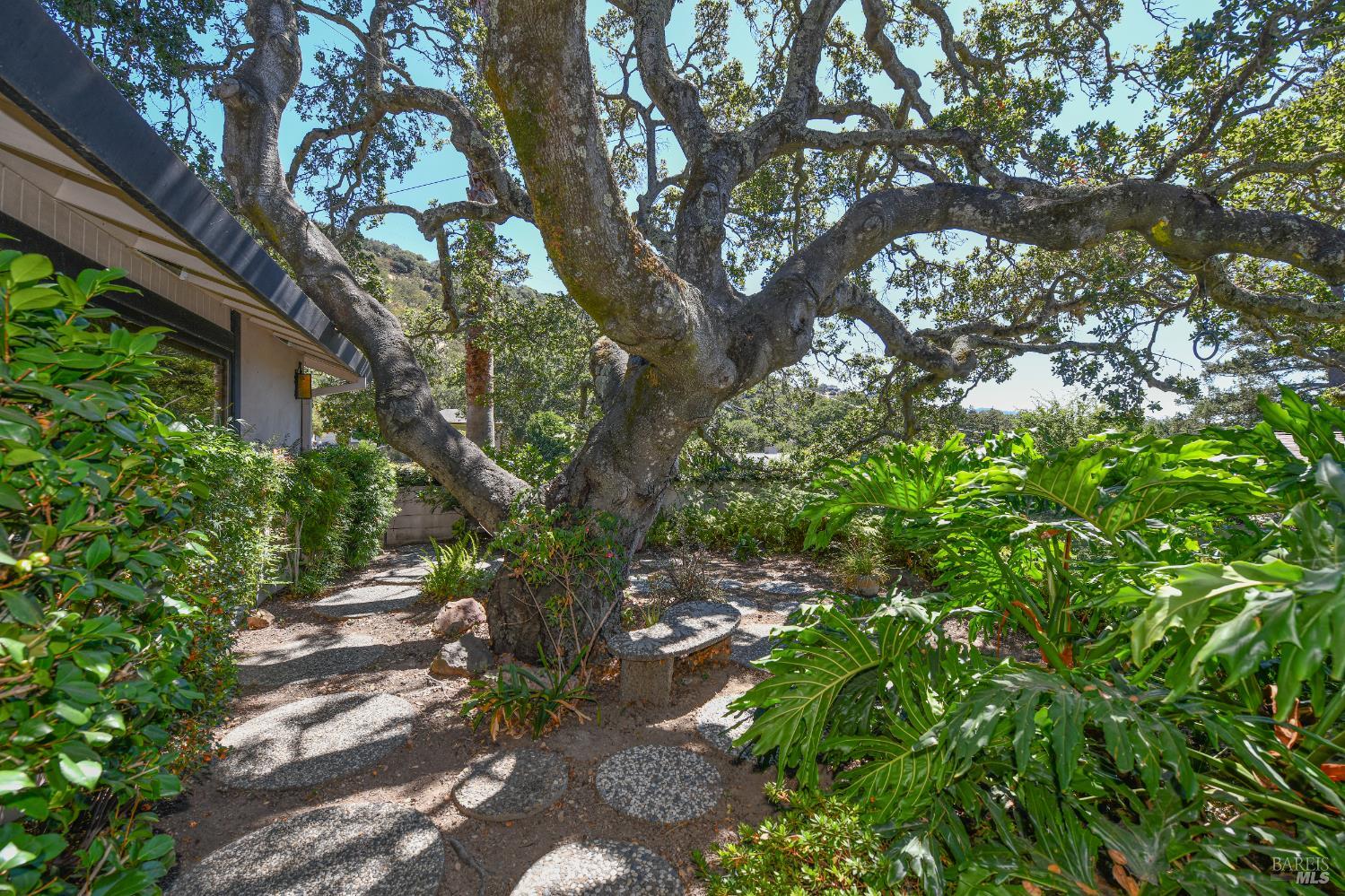 Detail Gallery Image 8 of 48 For 1521 King Ave, Napa,  CA 94559 - 3 Beds | 2 Baths