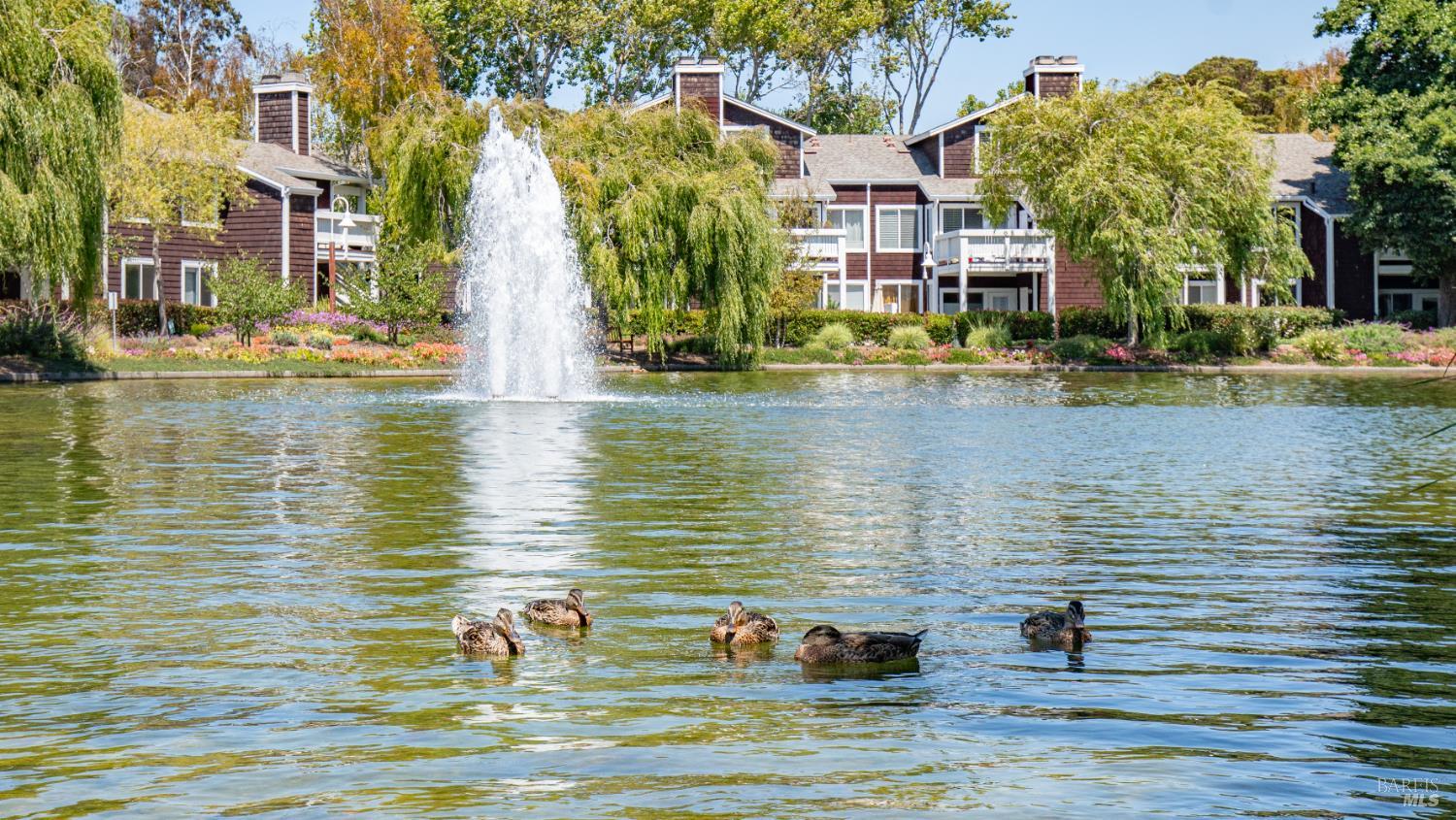 Detail Gallery Image 1 of 24 For 209 E Bayside Ct, Richmond,  CA 94804 - 2 Beds | 2 Baths
