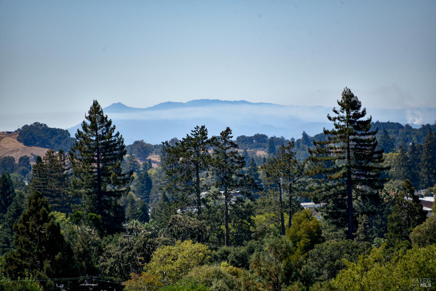 Detail Gallery Image 5 of 48 For 1521 King Ave, Napa,  CA 94559 - 3 Beds | 2 Baths