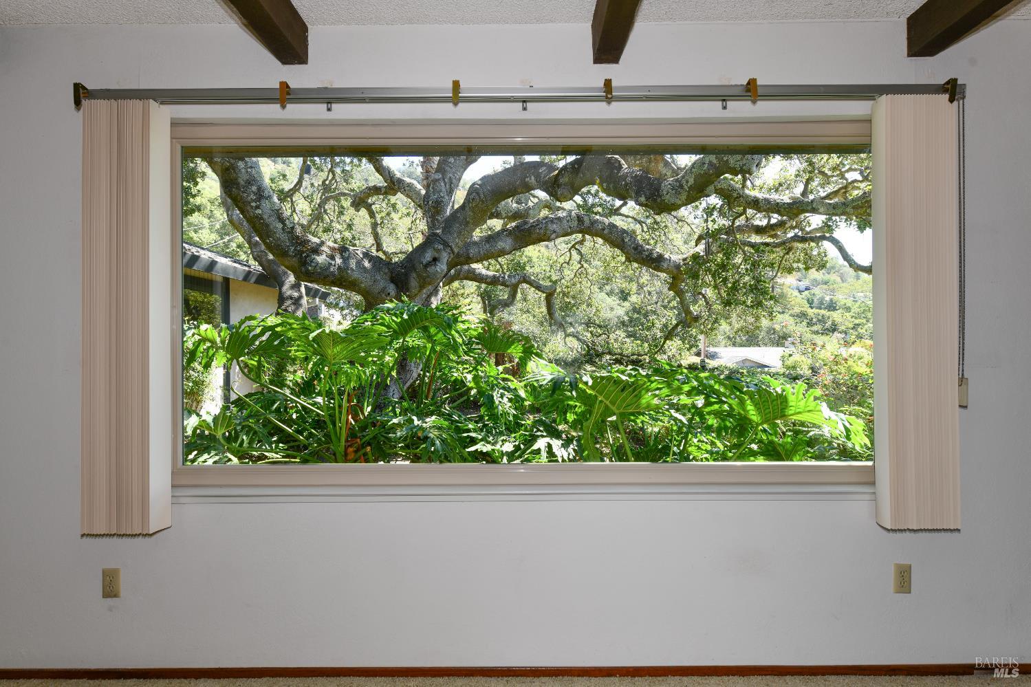 Detail Gallery Image 10 of 48 For 1521 King Ave, Napa,  CA 94559 - 3 Beds | 2 Baths