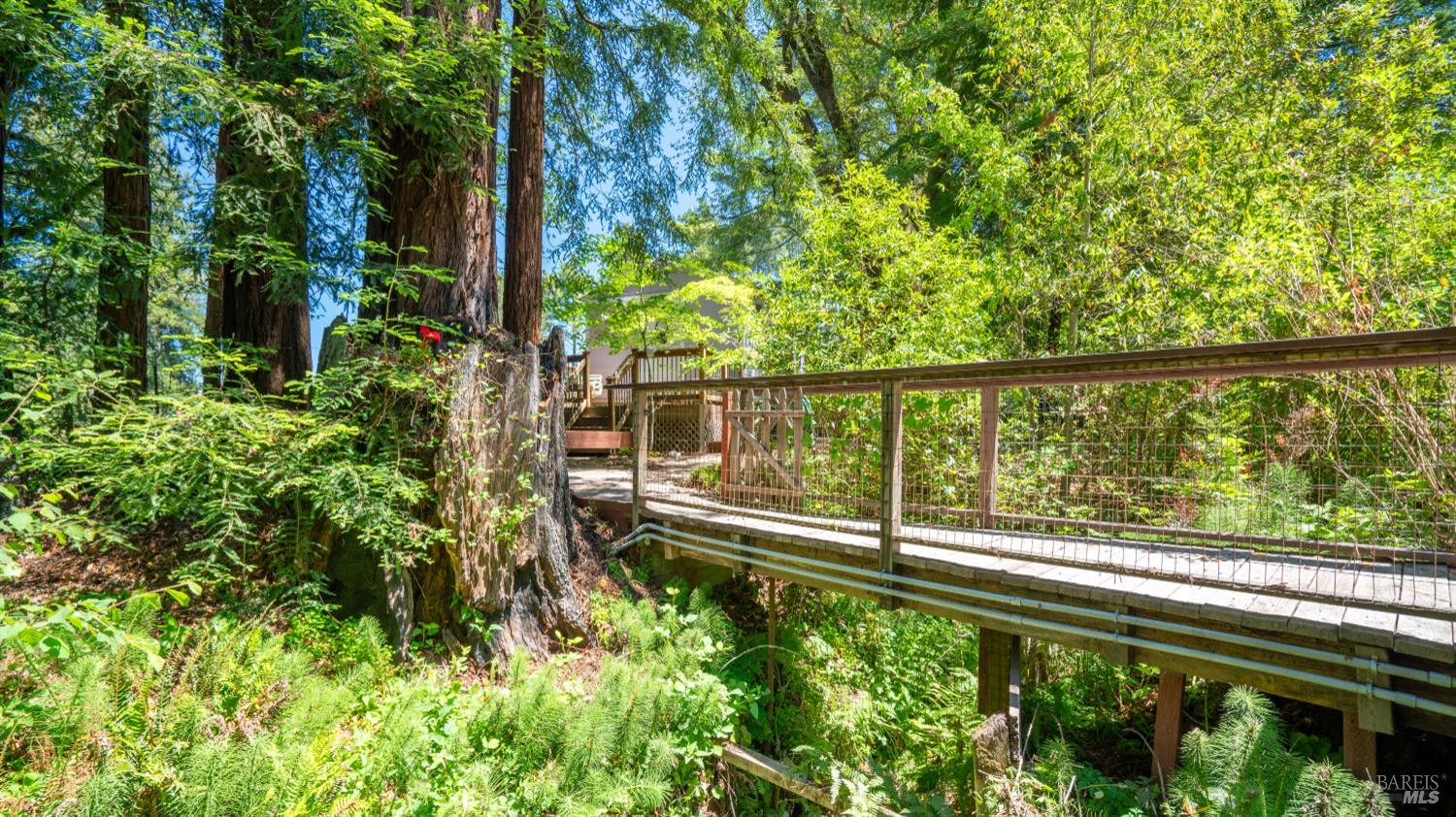 Detail Gallery Image 59 of 71 For 189 Wagnon Rd, Sebastopol,  CA 95472 - 2 Beds | 1 Baths