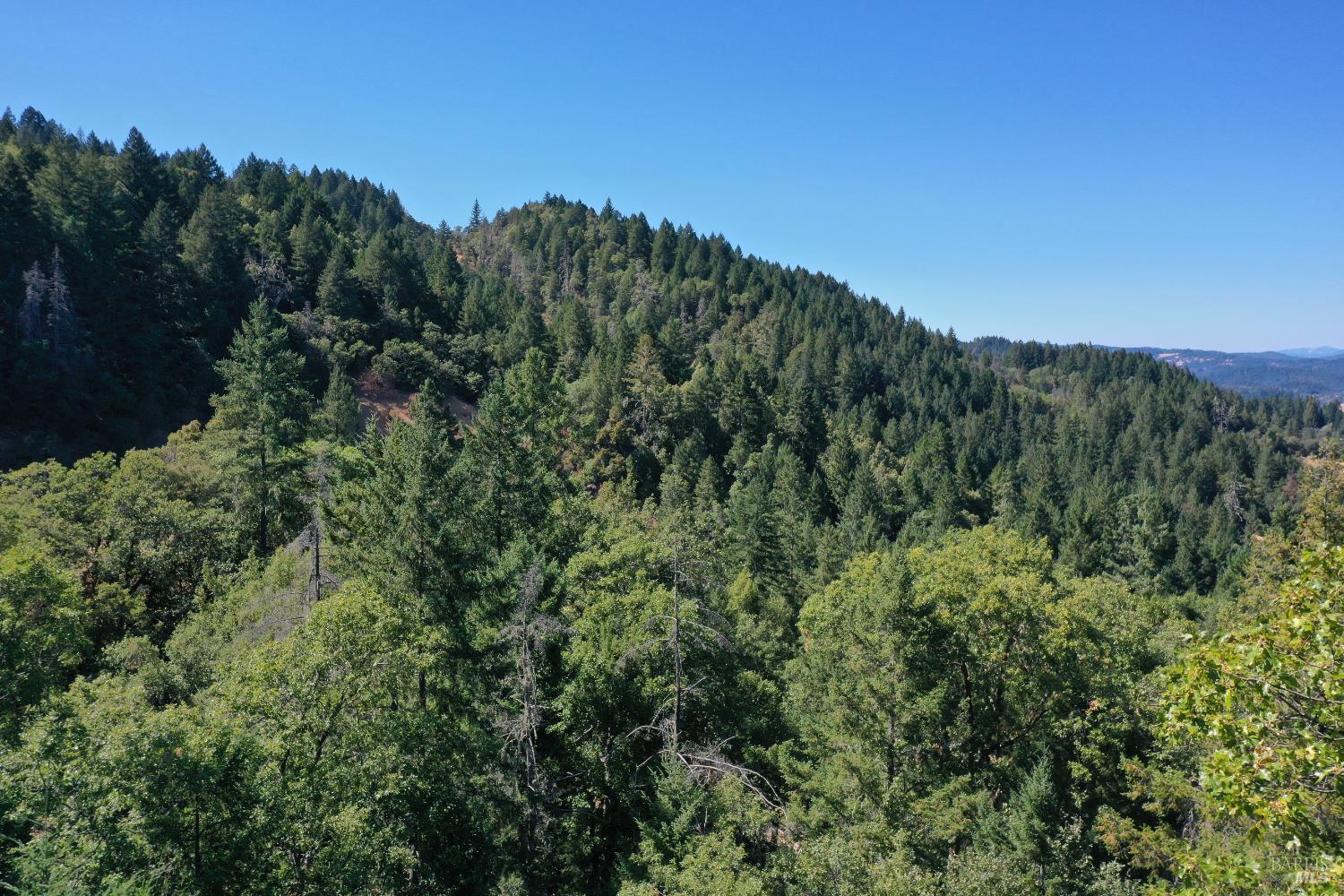 Detail Gallery Image 25 of 28 For 18500 Shafer Ranch Rd, Willits,  CA 95490 - 2 Beds | 1 Baths