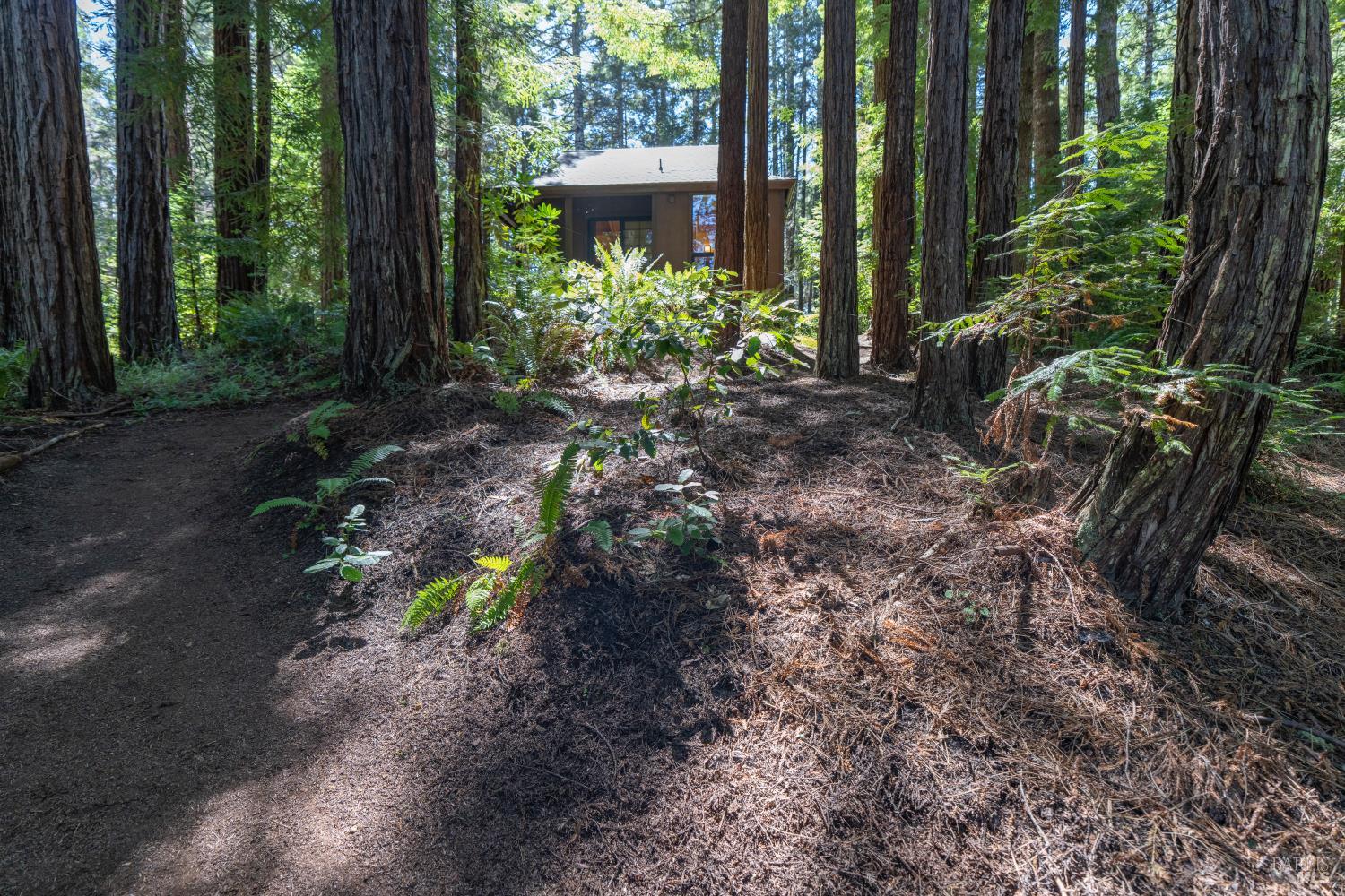 Detail Gallery Image 31 of 36 For 36484 E Ridge Rd, The Sea Ranch,  CA 95497 - 1 Beds | 1 Baths