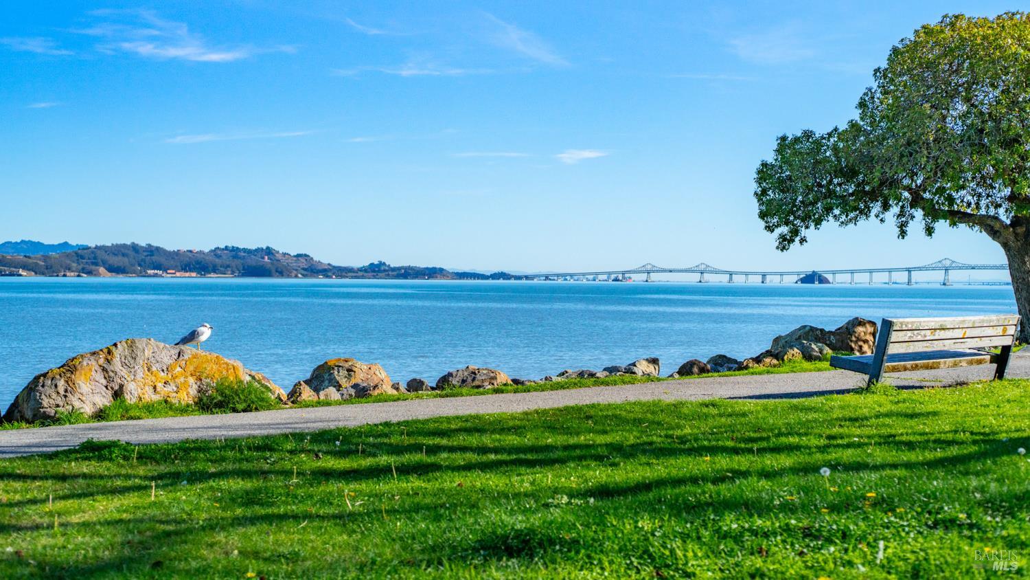Detail Gallery Image 50 of 60 For 58 Junipero Serra Ave, San Rafael,  CA 94901 - 3 Beds | 2 Baths