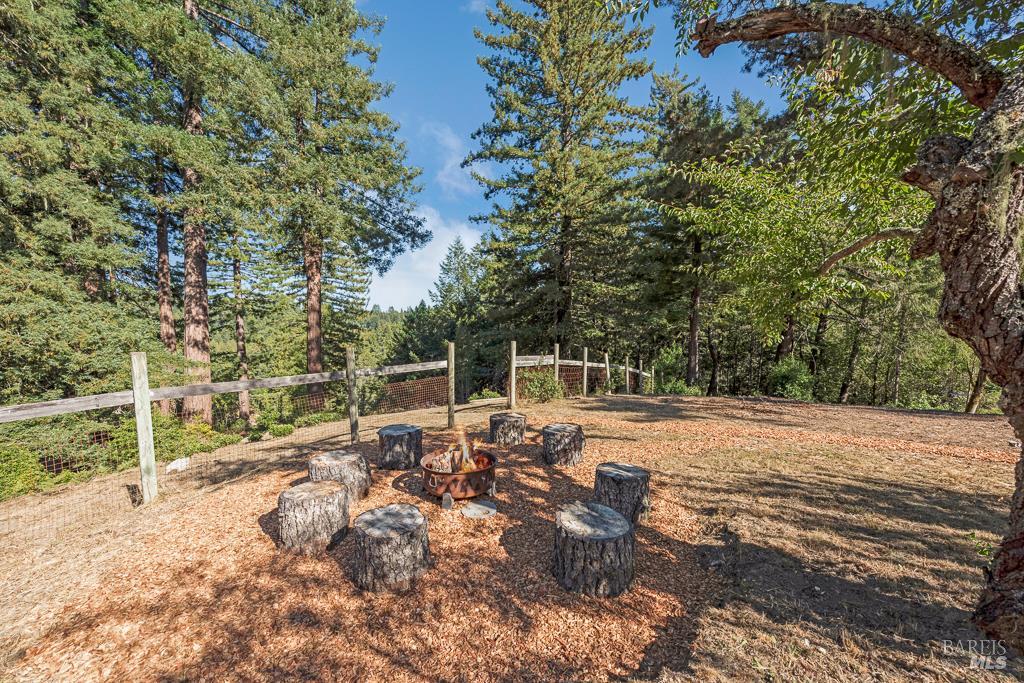 Detail Gallery Image 51 of 74 For 17197 Fitzpatrick Ln, Occidental,  CA 95465 - 3 Beds | 1 Baths