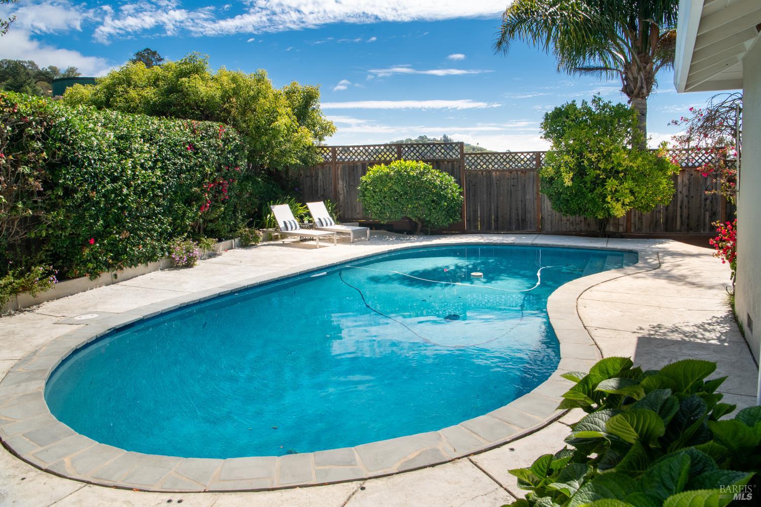 Detail Gallery Image 15 of 60 For 58 Junipero Serra Ave, San Rafael,  CA 94901 - 3 Beds | 2 Baths