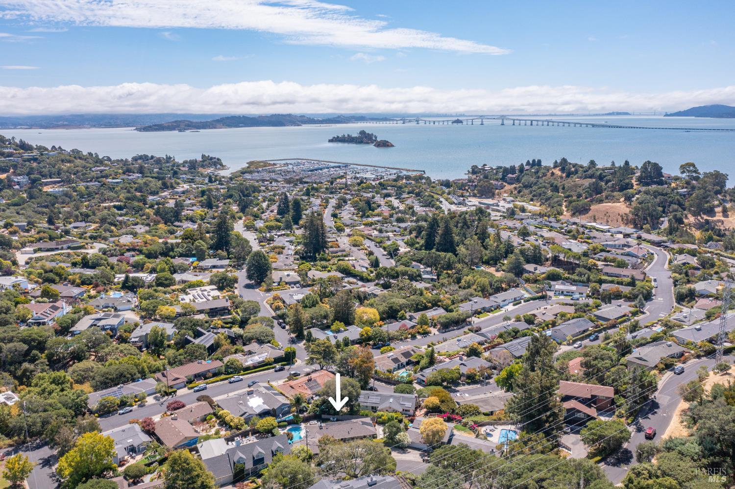 Detail Gallery Image 46 of 60 For 58 Junipero Serra Ave, San Rafael,  CA 94901 - 3 Beds | 2 Baths