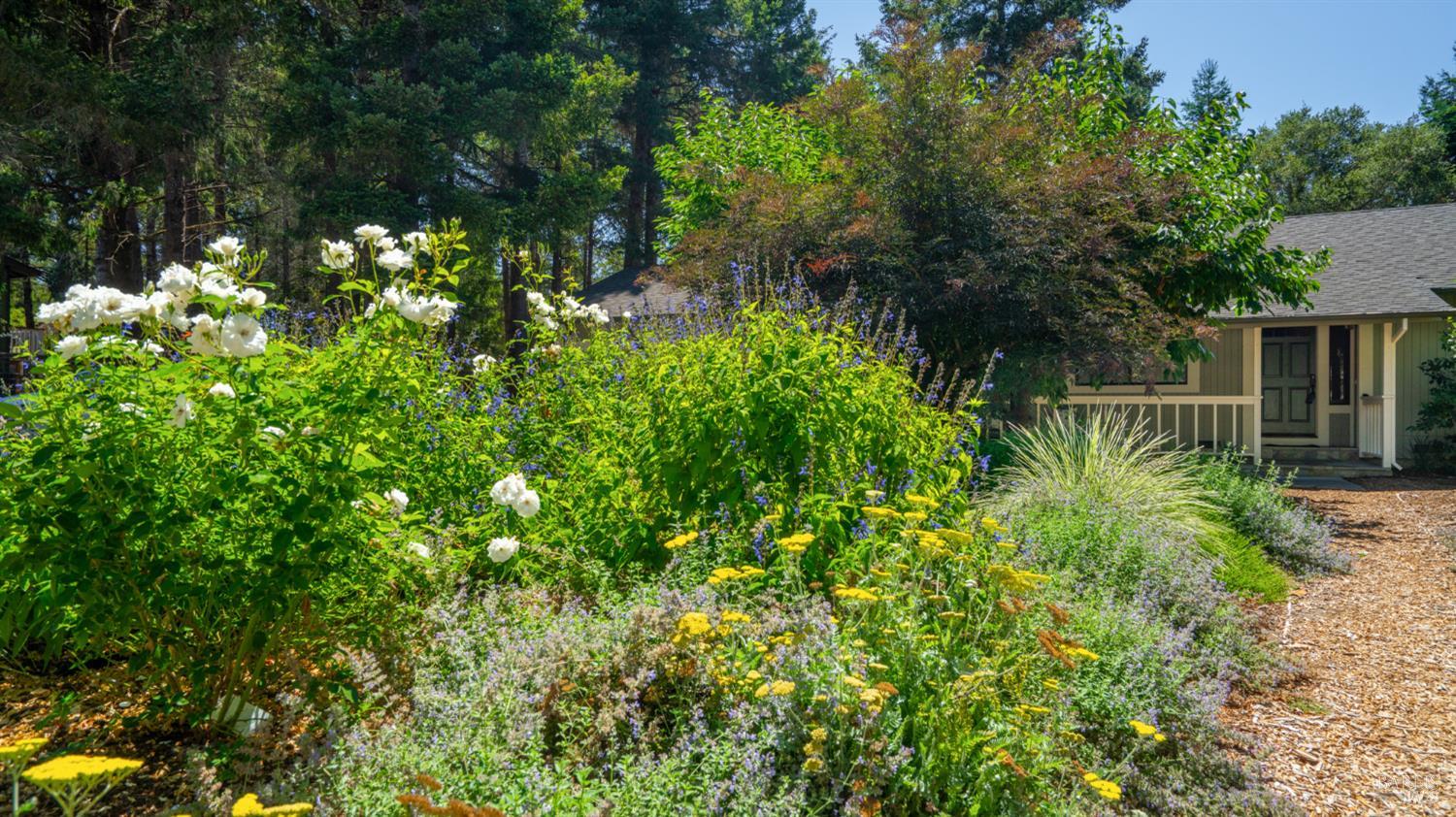 Detail Gallery Image 6 of 63 For 3155 Frei Rd, Sebastopol,  CA 95472 - 3 Beds | 2/1 Baths