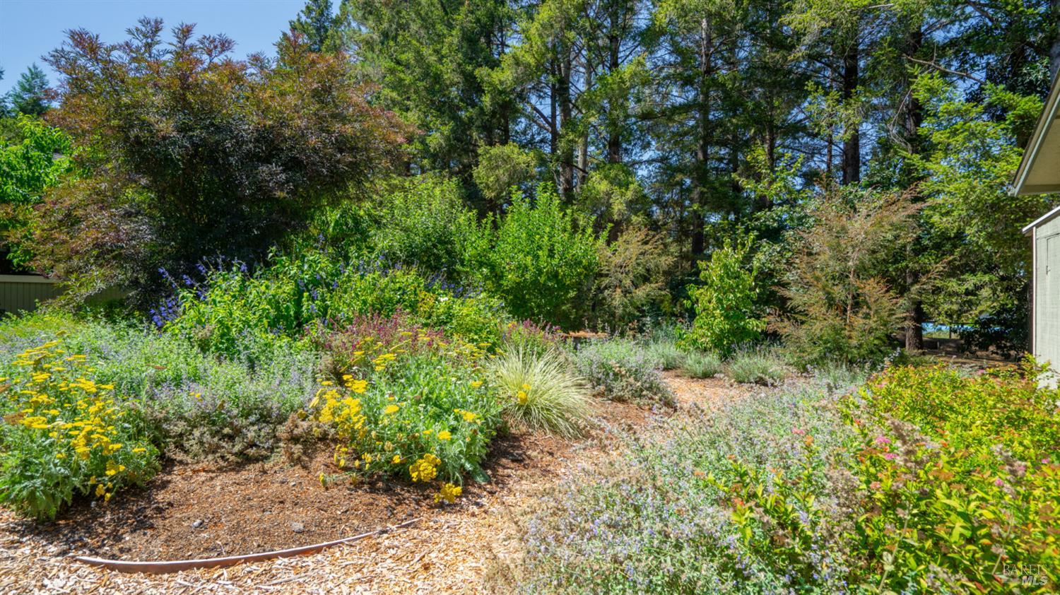 Detail Gallery Image 51 of 63 For 3155 Frei Rd, Sebastopol,  CA 95472 - 3 Beds | 2/1 Baths