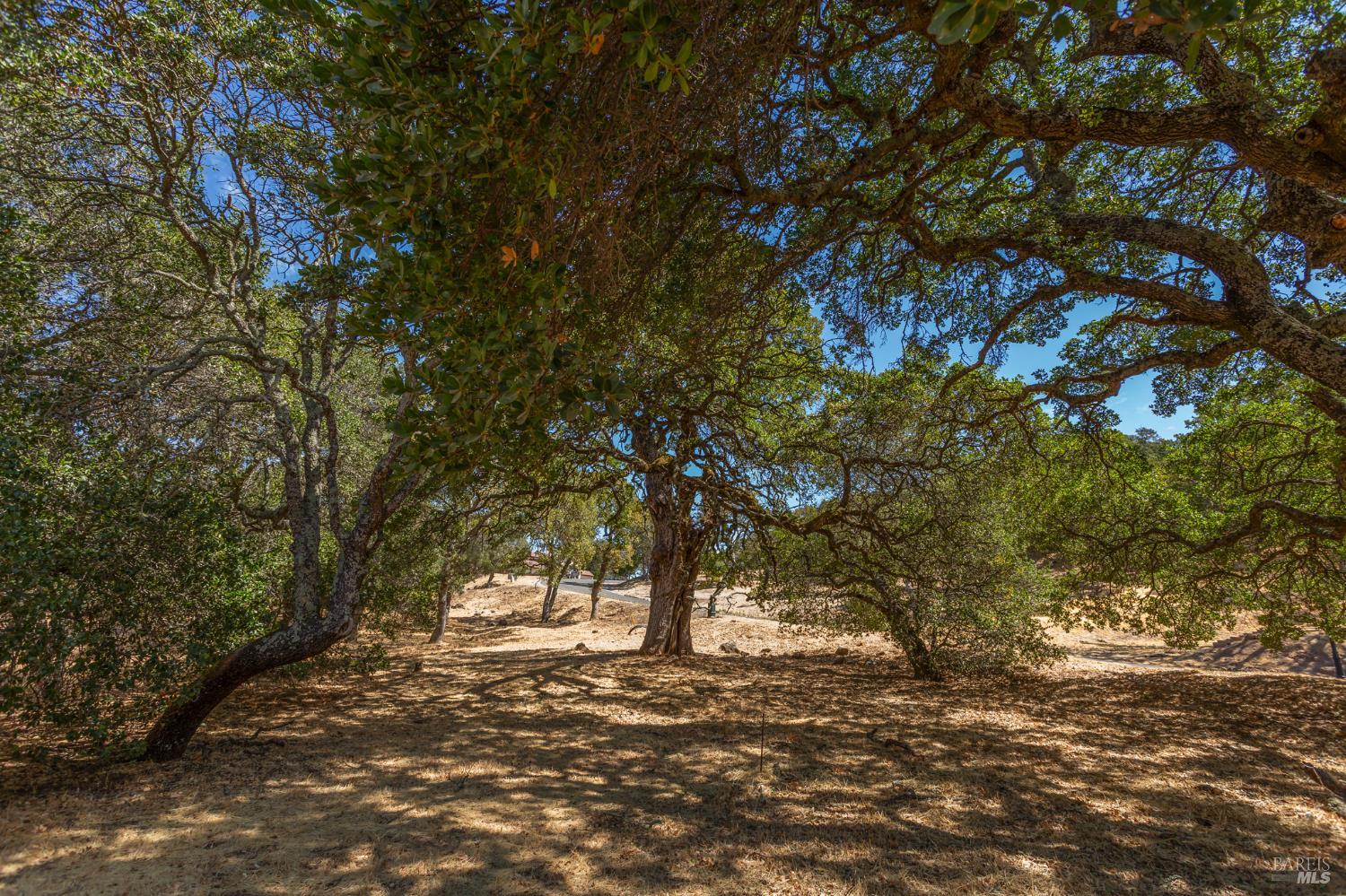 Detail Gallery Image 21 of 39 For 743 Bridle Ridge Ct, Fairfield,  CA 94534 - – Beds | – Baths