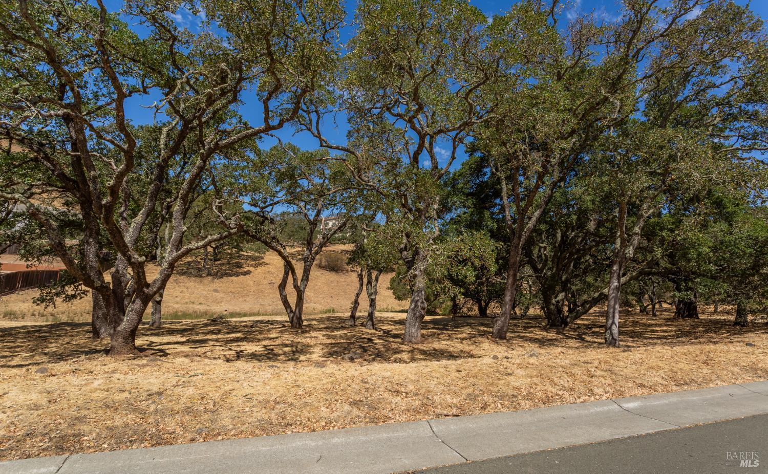 Detail Gallery Image 17 of 39 For 743 Bridle Ridge Ct, Fairfield,  CA 94534 - – Beds | – Baths