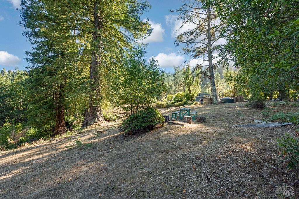 Detail Gallery Image 56 of 74 For 17197 Fitzpatrick Ln, Occidental,  CA 95465 - 3 Beds | 1 Baths