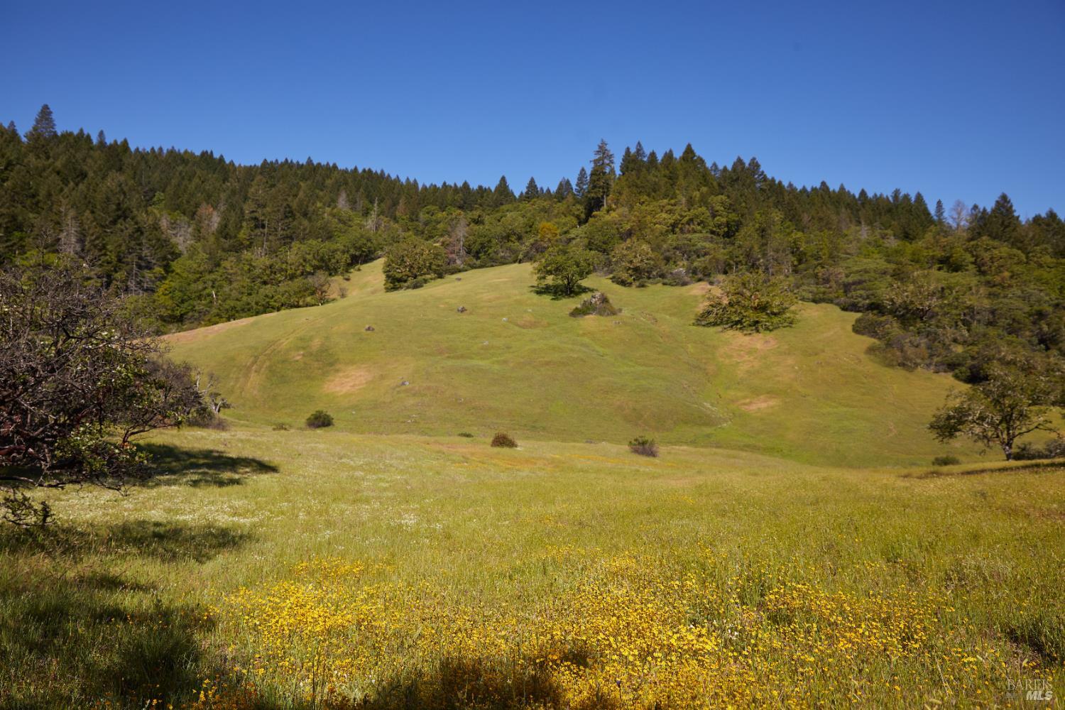 Detail Gallery Image 15 of 60 For 18574 Tomki Rd, Redwood Valley,  CA 95470 - 2 Beds | 2 Baths