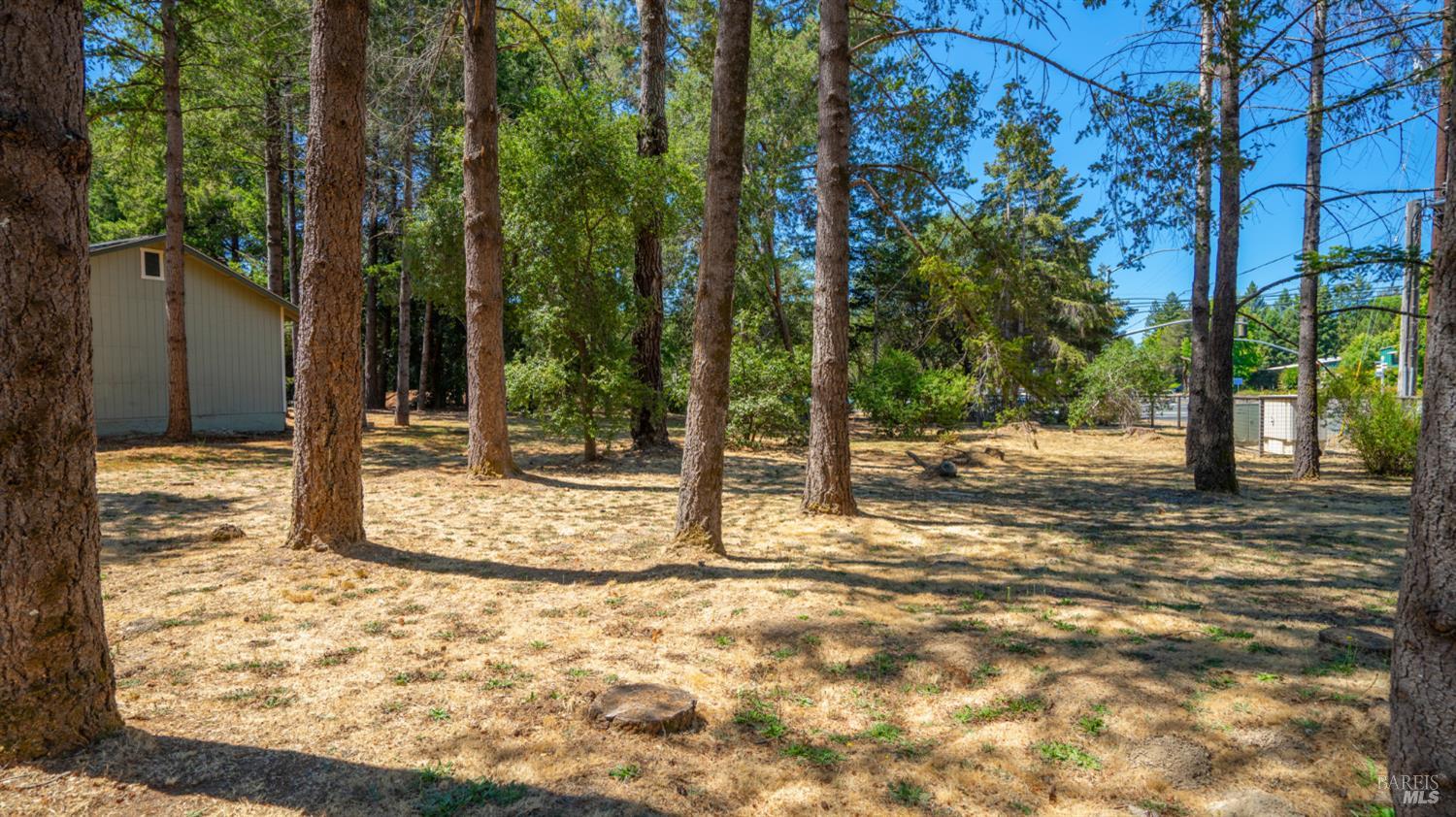 Detail Gallery Image 49 of 63 For 3155 Frei Rd, Sebastopol,  CA 95472 - 3 Beds | 2/1 Baths
