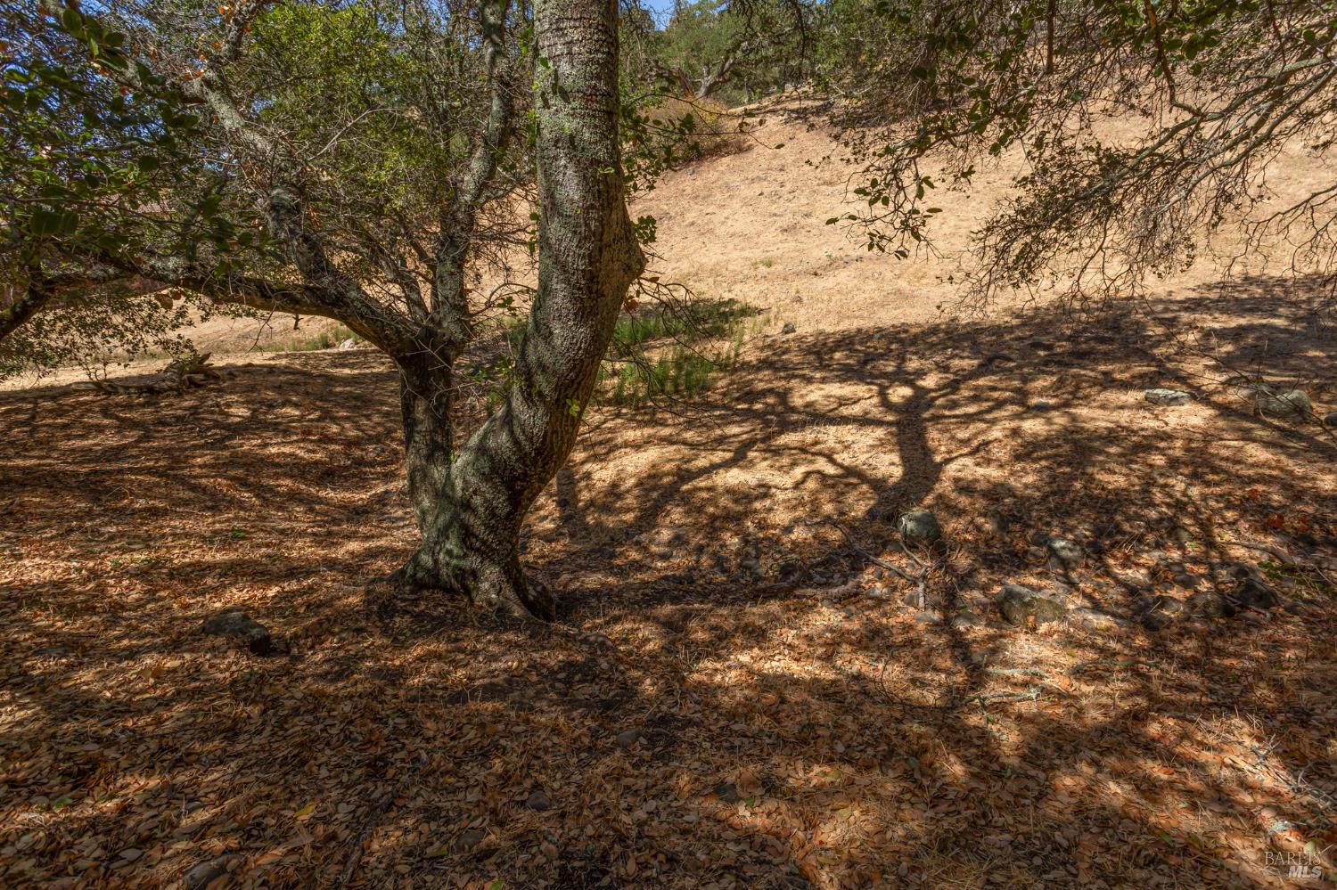 Detail Gallery Image 22 of 39 For 743 Bridle Ridge Ct, Fairfield,  CA 94534 - – Beds | – Baths