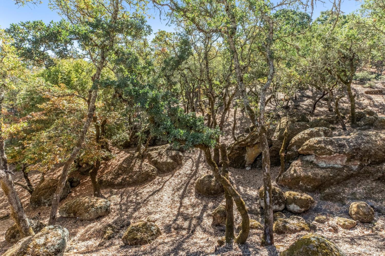 Detail Gallery Image 39 of 99 For 6 Old Coach Rd, Napa,  CA 94558 - 4 Beds | 3/1 Baths