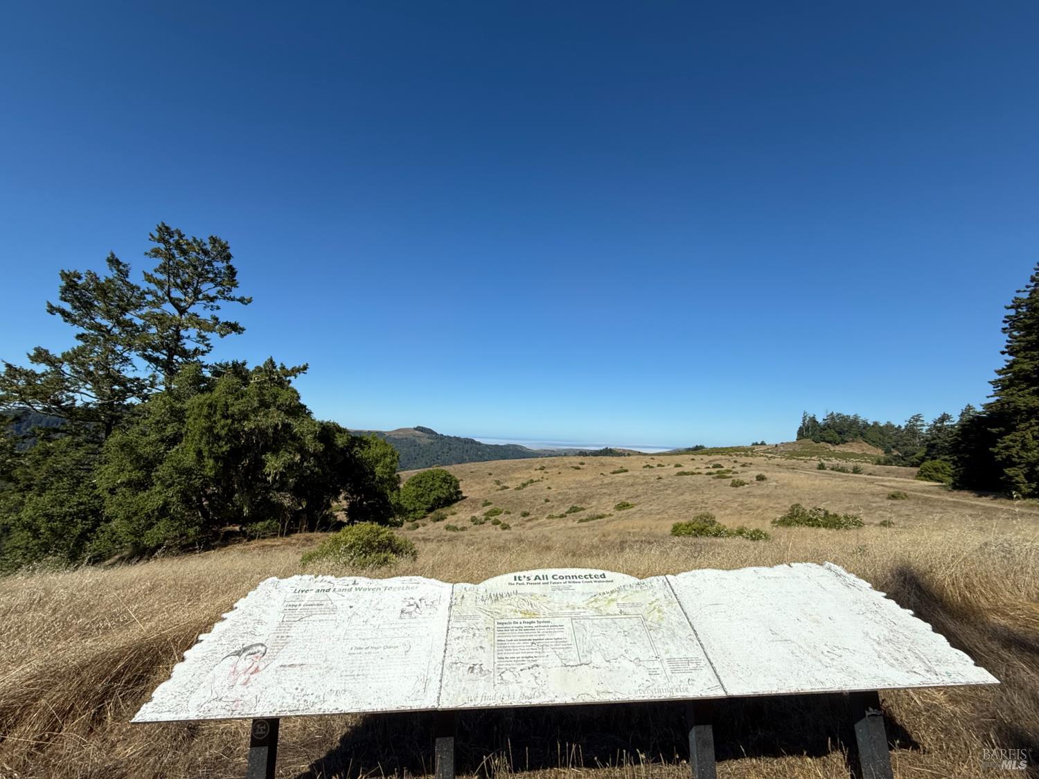 Detail Gallery Image 73 of 74 For 17197 Fitzpatrick Ln, Occidental,  CA 95465 - 3 Beds | 1 Baths