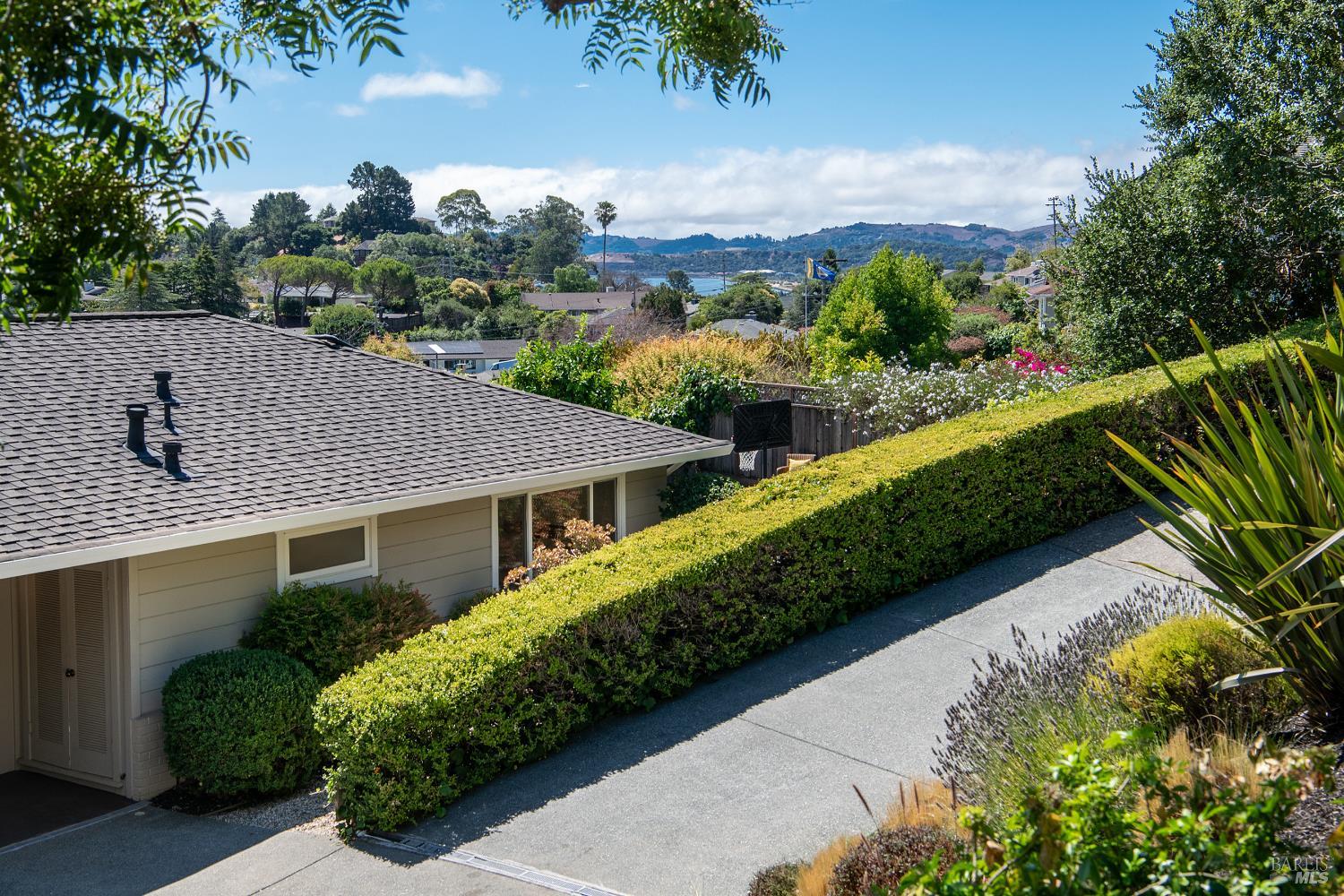 Detail Gallery Image 39 of 60 For 58 Junipero Serra Ave, San Rafael,  CA 94901 - 3 Beds | 2 Baths