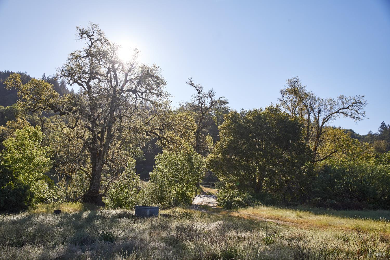 Detail Gallery Image 20 of 60 For 18574 Tomki Rd, Redwood Valley,  CA 95470 - 2 Beds | 2 Baths
