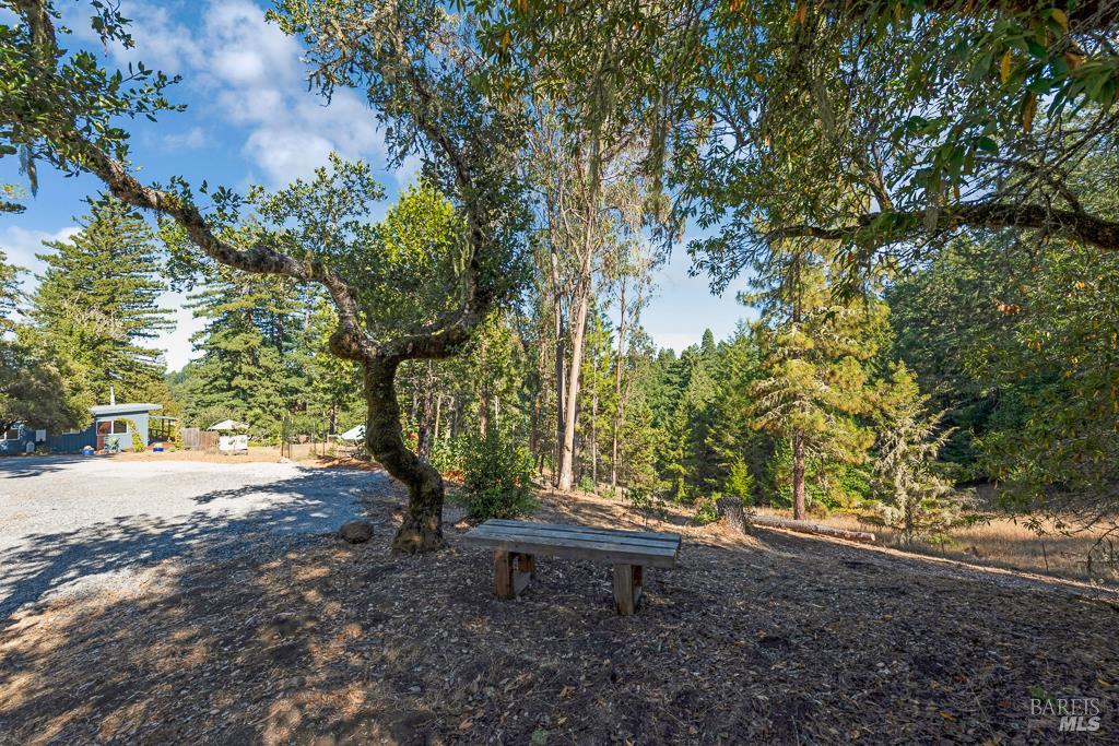 Detail Gallery Image 39 of 74 For 17197 Fitzpatrick Ln, Occidental,  CA 95465 - 3 Beds | 1 Baths