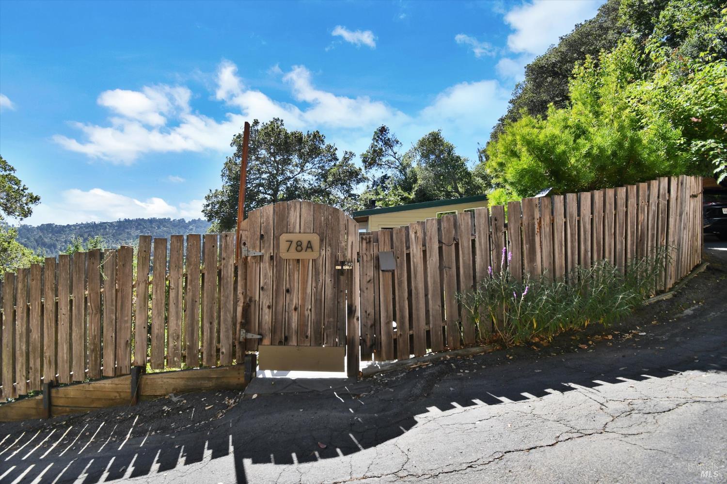 Detail Gallery Image 63 of 91 For 78 Greenwood Way, Mill Valley,  CA 94941 - 3 Beds | 2 Baths
