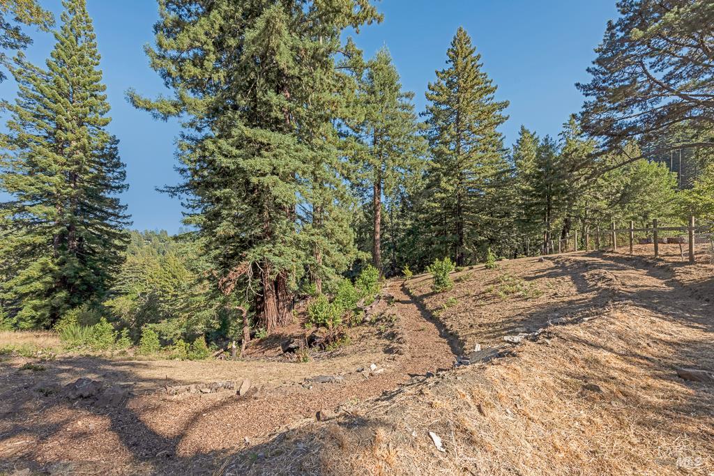 Detail Gallery Image 54 of 74 For 17197 Fitzpatrick Ln, Occidental,  CA 95465 - 3 Beds | 1 Baths