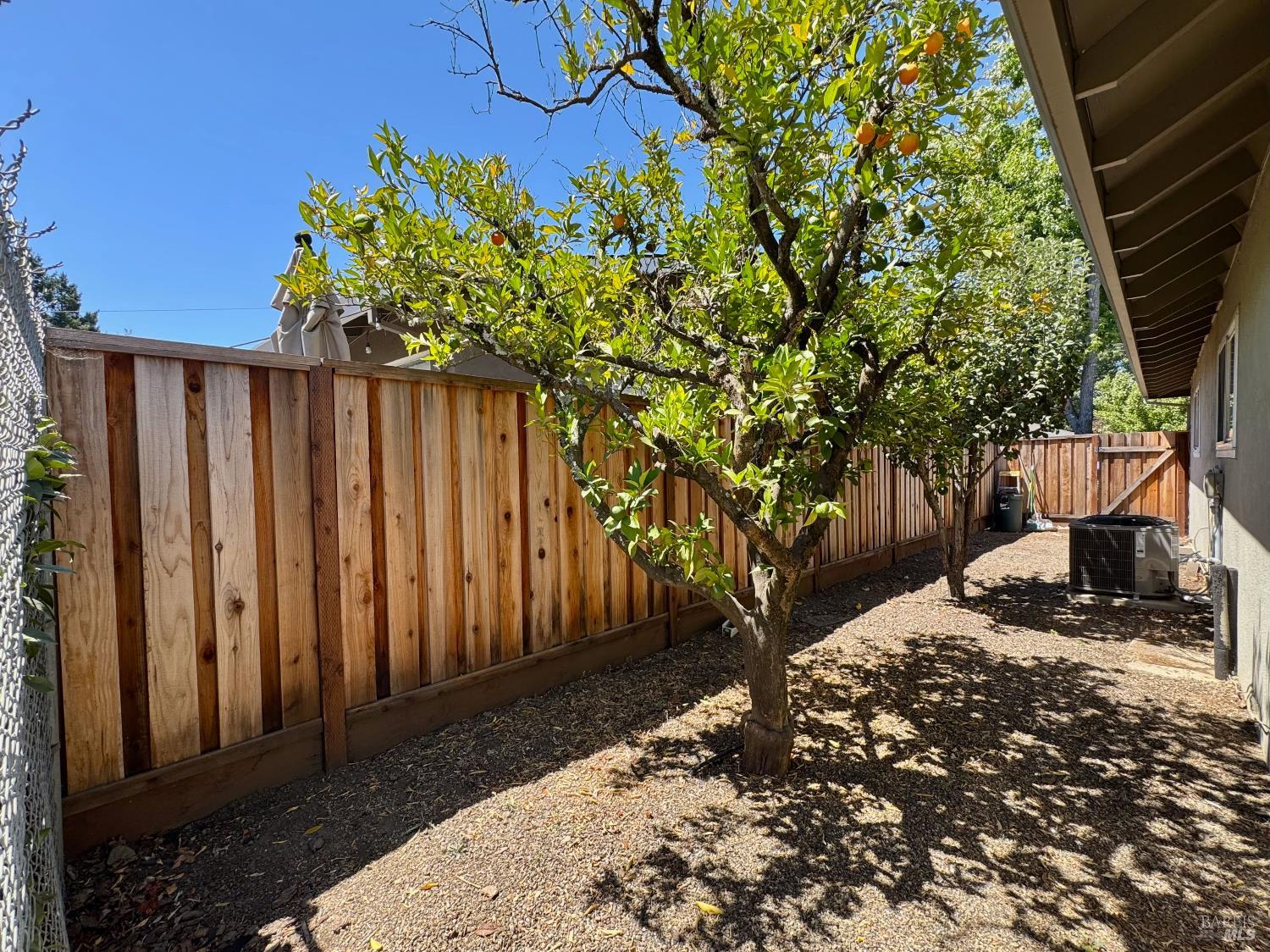 Detail Gallery Image 26 of 27 For 1971 Olive Ave, Saint Helena,  CA 94574 - 4 Beds | 3 Baths