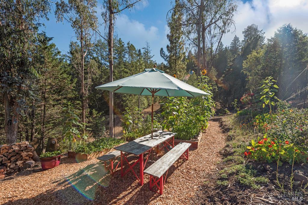 Detail Gallery Image 40 of 74 For 17197 Fitzpatrick Ln, Occidental,  CA 95465 - 3 Beds | 1 Baths